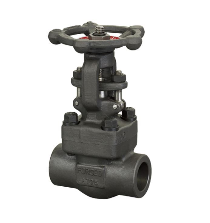 Globe Valve